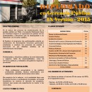 afiche diplomado gerencia publica 2015